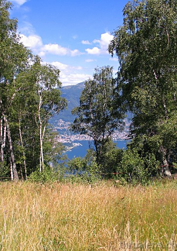 Original image
